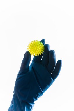 Virüs modelli mavi eldivenli doktor