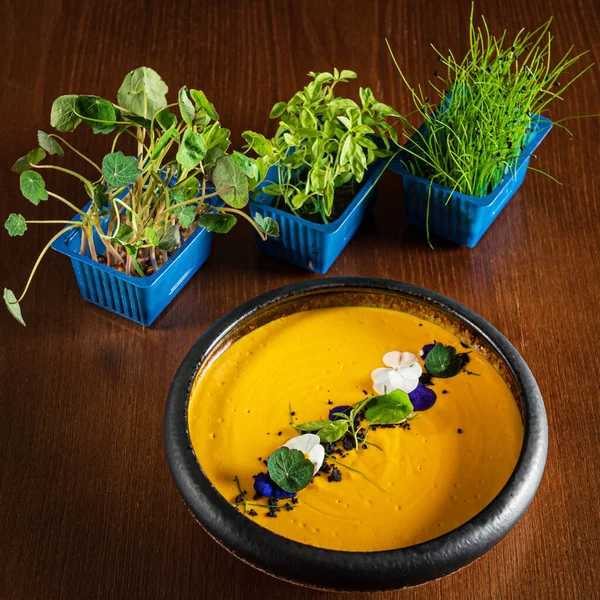 Carrot Cream Soup Microgreens — Stock Photo, Image