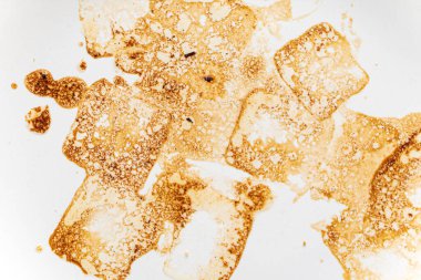 Parşömendeki kahverengi noktalar