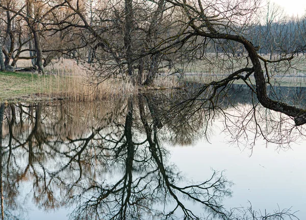 Güzel Nehrin Yakınındaki Bahar Manzarası — Stok fotoğraf