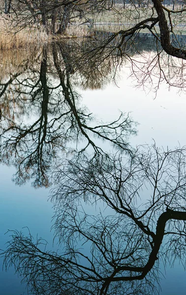 Paysage Printanier Près Belle Rivière — Photo