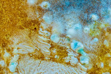 renk kalıbı dokusu, makro kalıp