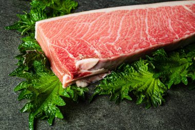 Mavi yüzgeçli tuna otoro, lüks gurme.