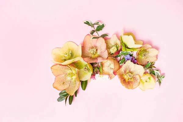 Flores Primavera Fundo Rosa — Fotografia de Stock