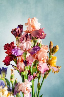 Bir demet taze süsen çiçeği.