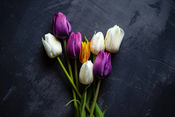 Siyah arkaplanda laleler