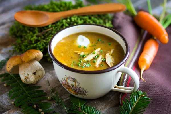 Kremalı mantar çorbası — Stok fotoğraf
