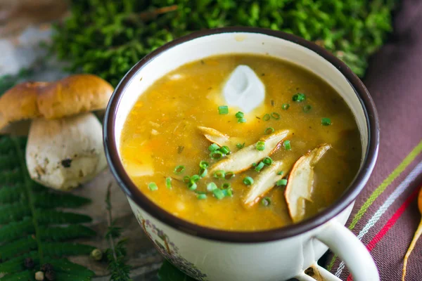 Creamy Mushroom Soup — Stock Photo, Image