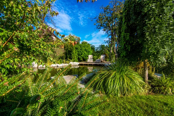 Teich im blühenden Garten — Stockfoto