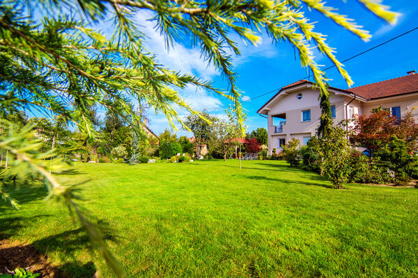 Beautiful Garden under beautiful sky