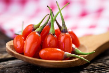 taze Goji meyveleri
