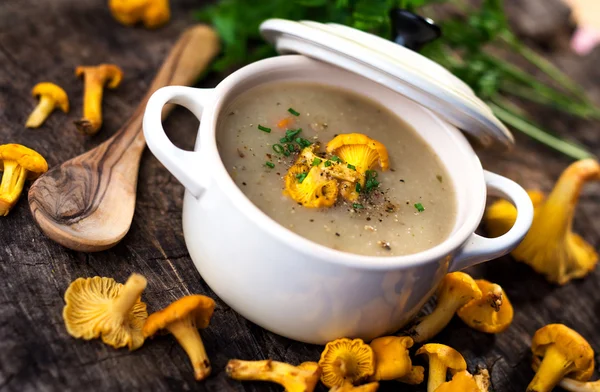 Mushroom soup with chanterelle — Stock Image Mushroom soup with chanterelle Stock Picture