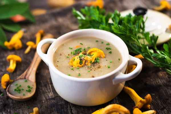 Грибний суп з лисичкою — стокове фото