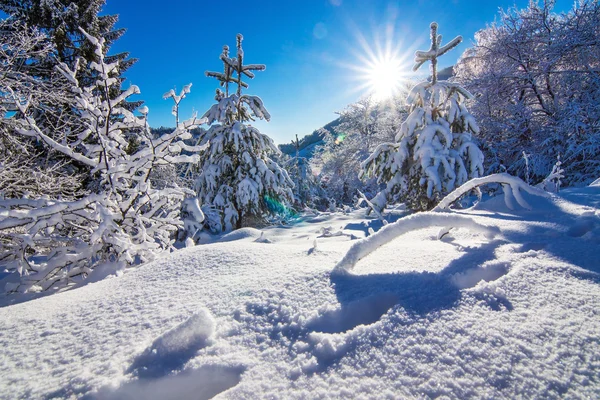 Bellissimo paesaggio ghiacciato — Foto Stock