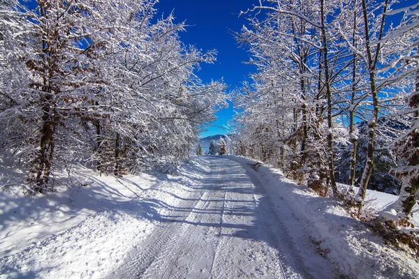 Prachtige bevroren landschap — Stockfoto