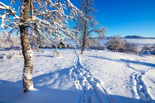 Winterlandschap in de ochtend — Stockfoto