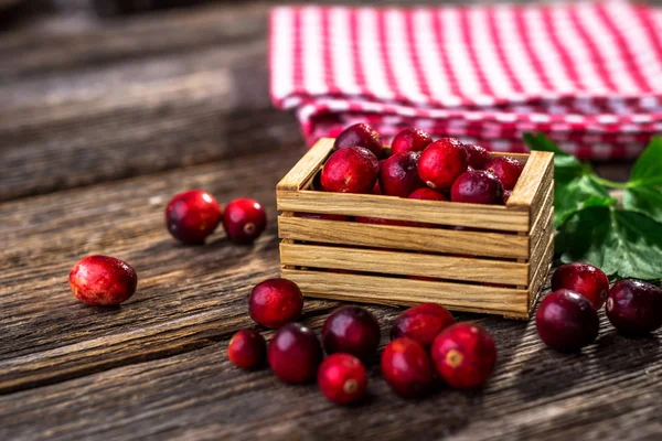 Fresh red cranberries in packing-box — Stock Photo, Image