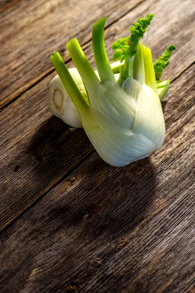 Fresh organic fennel bulbs — Stock Photo, Image