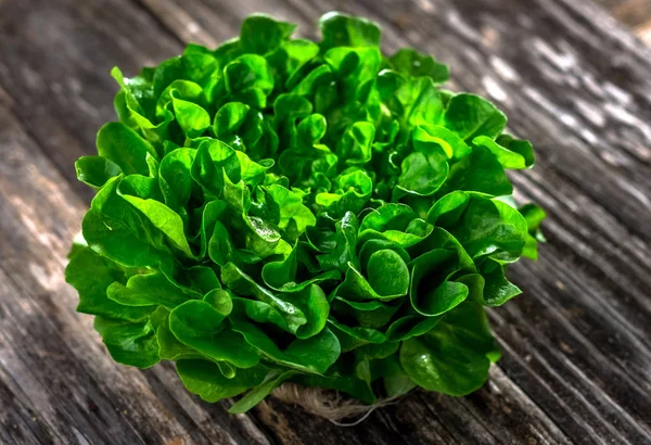 Zielona sałata organicznych głowy — Zdjęcie stockowe