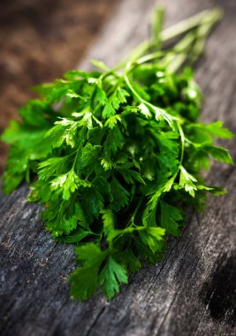 taze yeşil maydanoz