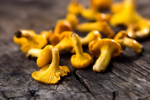 Свежие грибы на деревянном фоне — стоковое фото