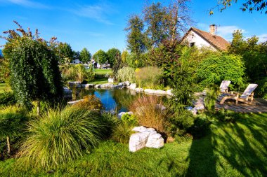 yeşil çiçek Bahçe gölet yakınındaki şezlonglar