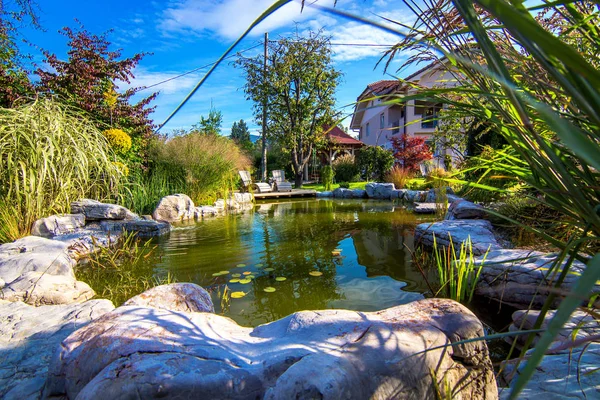 Stagno in rigoglioso giardino fiorito verde — Foto Stock