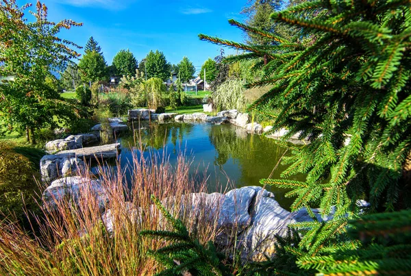 Stagno in rigoglioso giardino fiorito verde — Foto Stock