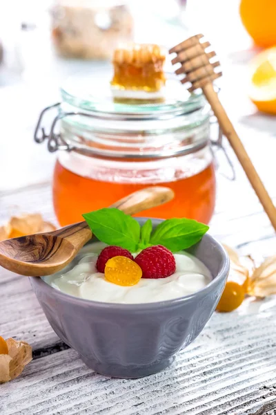 Greek yogurt with honey — Stock Photo, Image