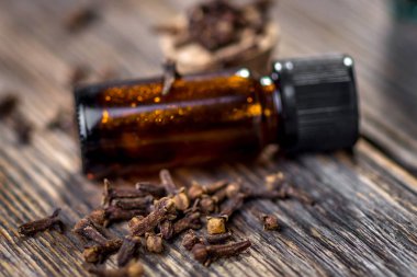 Karanfil yağı ve karanfil çiçek tomurcukları 