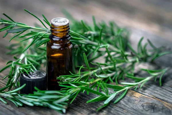 Rosemary oil and fresh rosemary — Stock Photo, Image