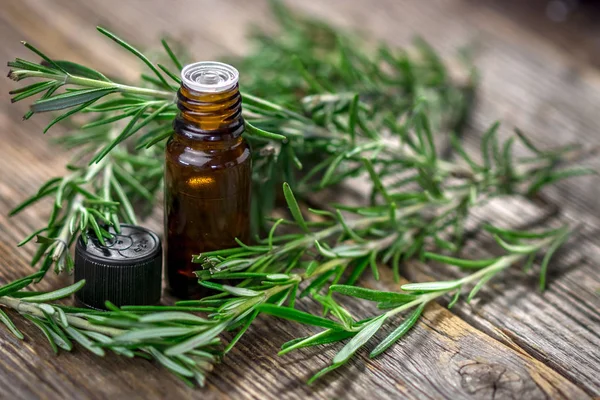 Rosemary oil and fresh rosemary — Stock Photo, Image