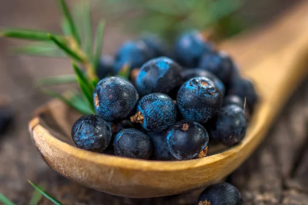 Juniper berries in spoon — Stock Photo, Image