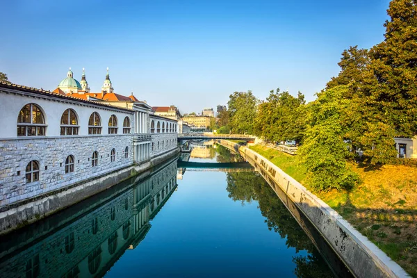 Centrum miasta Lublana — Zdjęcie stockowe