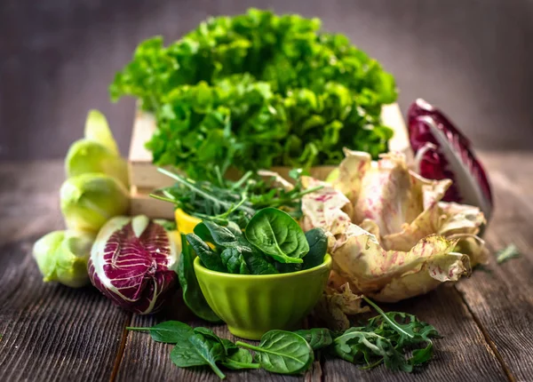 Fresh colorful lettuce — Stock Photo, Image