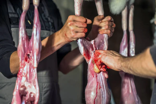 Κρεοπωλείο προετοιμασία κουνέλι κρέας — Φωτογραφία Αρχείου