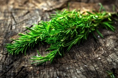  Taze yeşil aromatik biberiye 