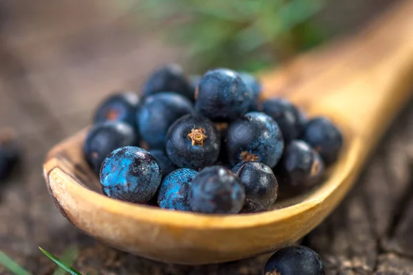 Juniper berries on  table — Stock Photo, Image