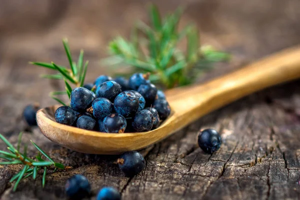 Juniper berries on  table — Stock Photo, Image