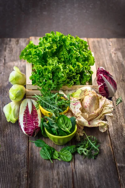 Fresh colorful  lettuce — Stock Photo, Image
