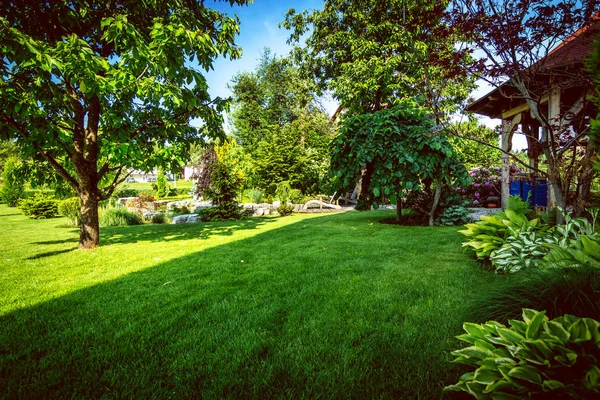 Jardim quintal com grama verde exuberante — Fotografia de Stock