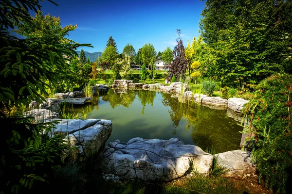 Garden Backyard Pond