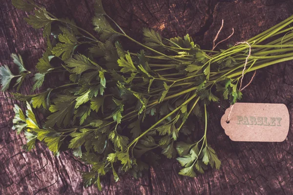 Fresh green parsley — Stock Photo, Image