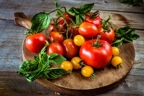 Tomates, aceite de oliva y hierbas — Foto de Stock