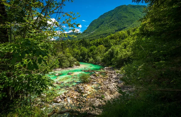 Vacker turkos Soca flod — Stockfoto