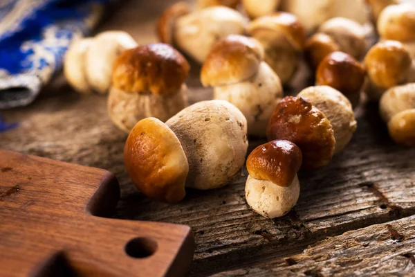 Сырые свиные грибы — стоковое фото
