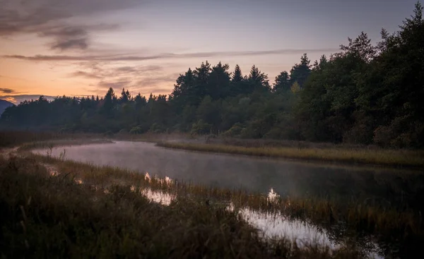 Fiume nebbioso al mattino — Foto Stock