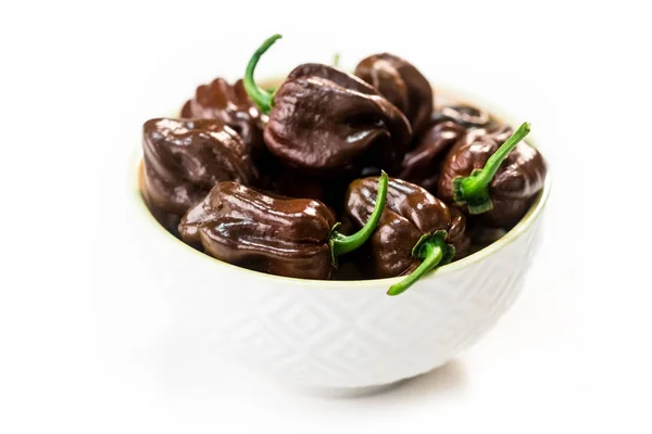 Habanero choklad chili isolerad på vit bakgrund — Stockfoto