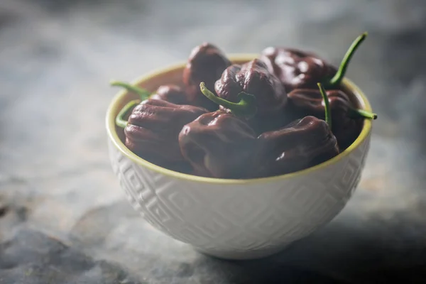 Habanero Schokolade Chilischoten — Stockfoto