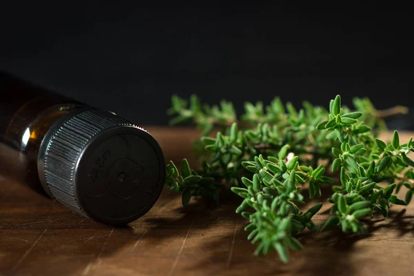 Timjan herb och olja — Stockfoto